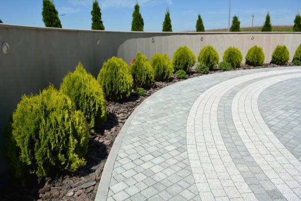 Best Affordable Driveway Pavers  in Avonmore, PA